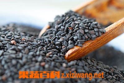 果蔬百科吃黑芝麻的好处 吃黑芝麻的禁忌