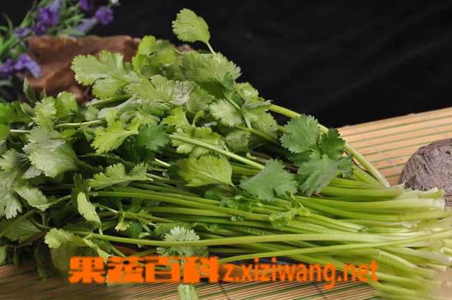 果蔬百科香菜的功效与作用