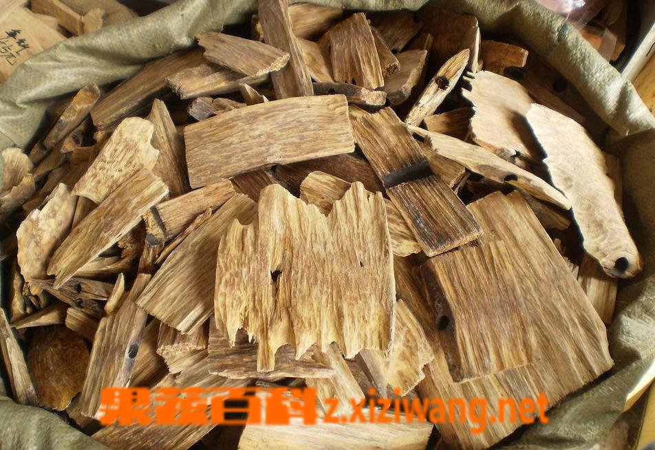 果蔬百科沉香的功效与作用
