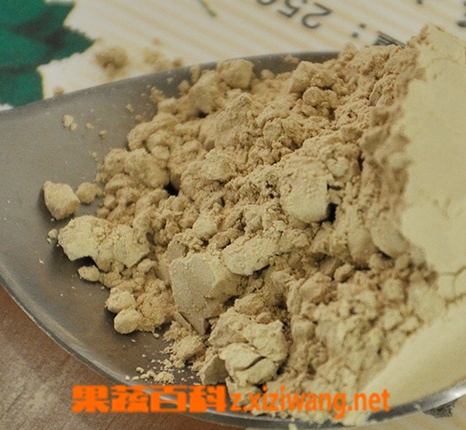 果蔬百科三七粉图片 三七粉的功效与作用