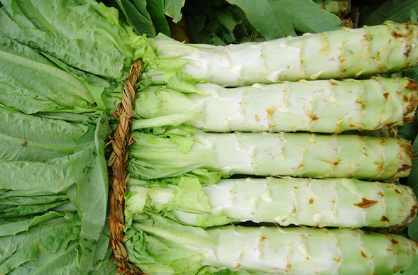 果蔬百科莴苣的功效与作用