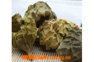 栝楼壳图片 栝楼壳的功效与药用作用