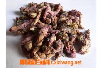 款冬花的功效与作用 款冬花的食用方法