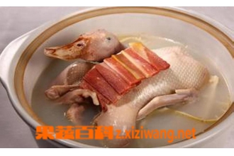 鸭子肉汤怎么做好吃 鸭子肉汤的做法