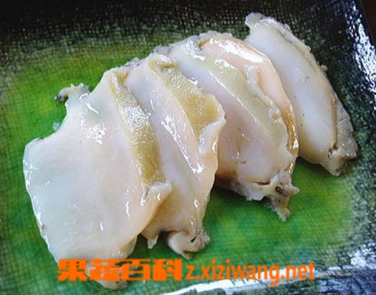 果蔬百科生鲍鱼的营养价值及功效