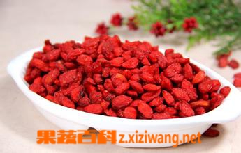 果蔬百科枸杞的功效与作用及食用方法