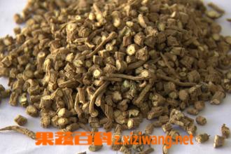 中药柴胡性味归经 中药柴胡功效作用