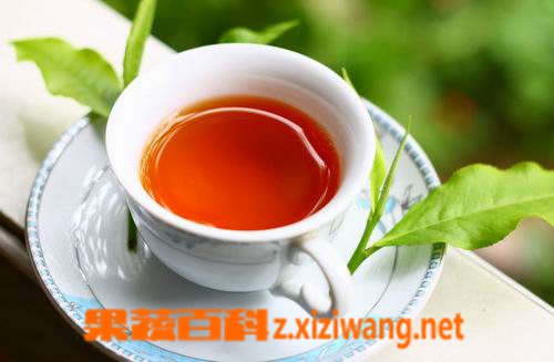 果蔬百科喝红茶的好处与坏处