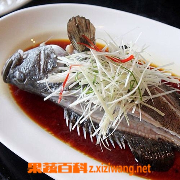 果蔬百科石斑鱼如何去除鱼腥味
