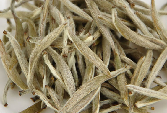 果蔬百科夏天喝白茶的好处有哪些