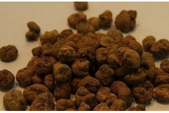 中药苏合香的功效与作用 苏合香的药用价值