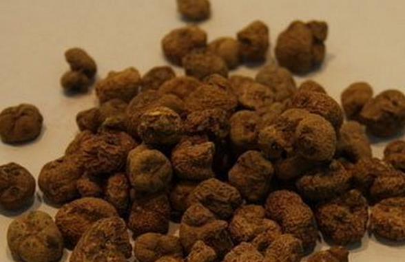 果蔬百科中药苏合香