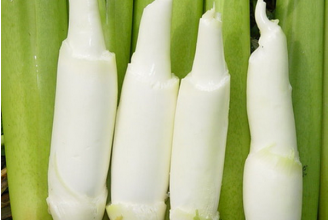 茭白是什么 茭白的营养价值