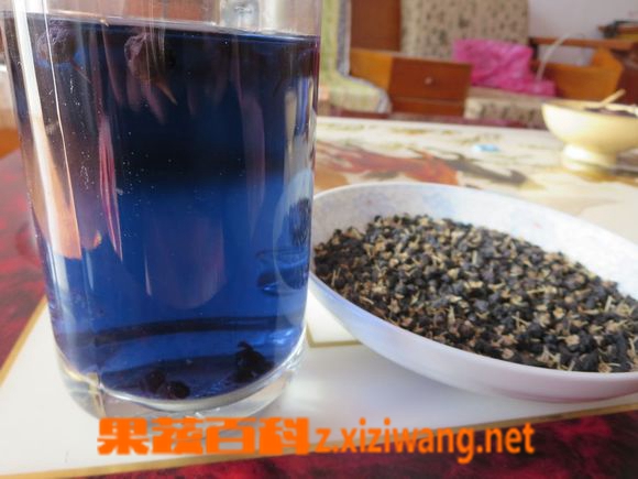 果蔬百科黑枸杞泡酒喝的功效与作用