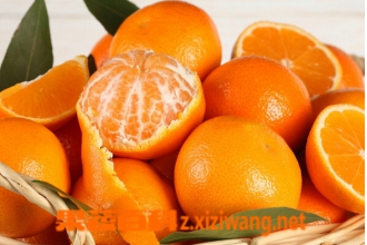 橘子和甜橙的区别