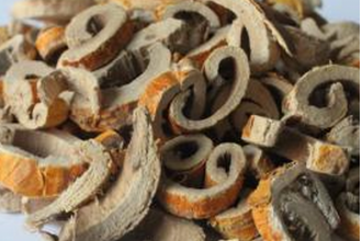 桑白皮泡水喝的功效与作用