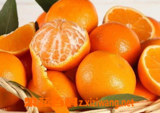 果蔬百科烫伤以后吃什么好 烫伤以后不能吃什么