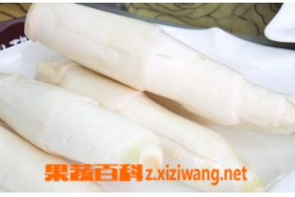 茭白的营养价值与食用功效