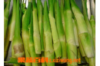茭白的食用禁忌 食用茭白要注意什么