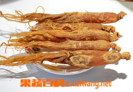 果蔬百科人参的种类