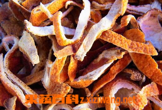 果蔬百科陈皮的副作用有哪些
