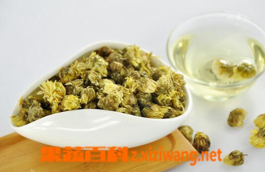 果蔬百科菊花的美容功效与用法