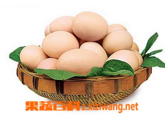 果蔬百科鸡蛋的过敏症状