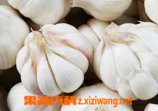 果蔬百科治疗牛皮癣的小偏方