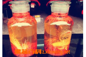 肾虚怎么办 补肾的常见偏方