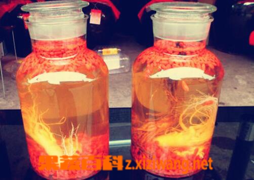 果蔬百科补肾的常见偏方