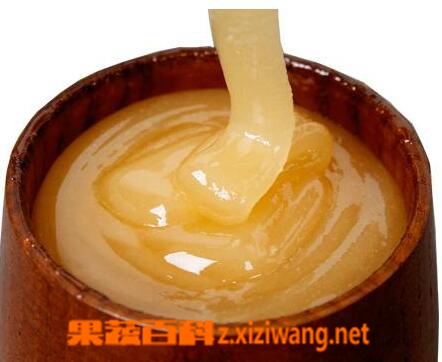 果蔬百科老年人吃蜂蜜好吗