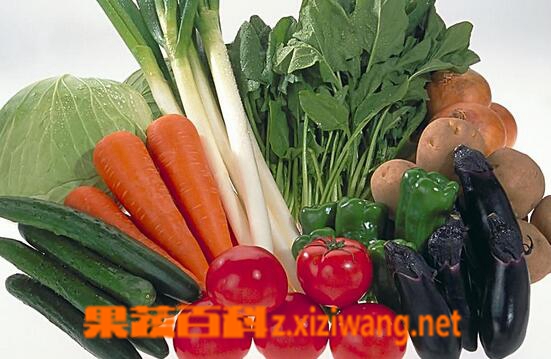 果蔬百科常见蔬菜的食用禁忌有哪些