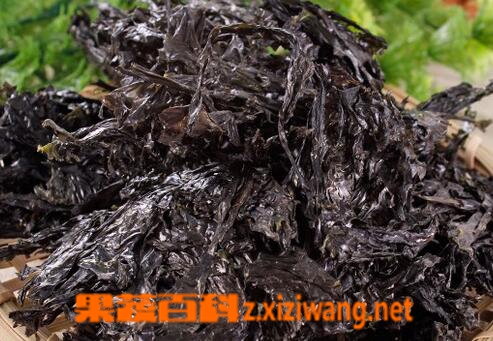 果蔬百科吃紫菜的好处有哪些