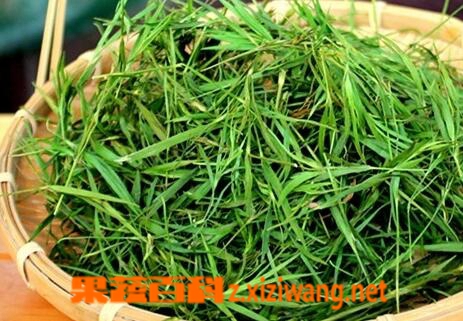 果蔬百科喝竹叶青茶有什么好处