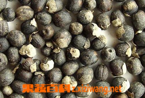 果蔬百科蔓荆子的功效与用法