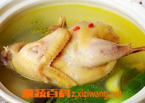 果蔬百科老母鸡的营养价值
