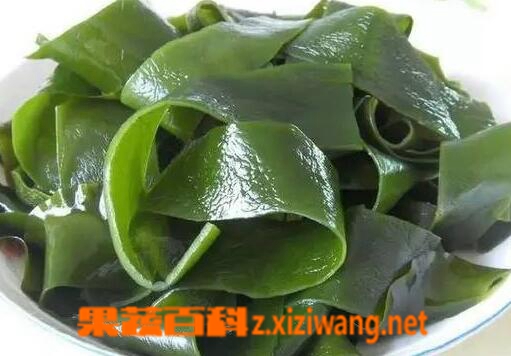 果蔬百科海带的功效与作用