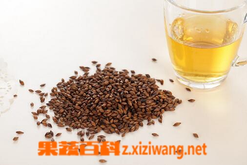 果蔬百科大麦茶会致癌吗