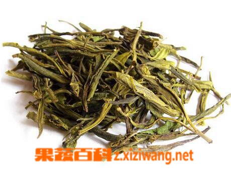 果蔬百科 霍山黄芽的真假怎么区分