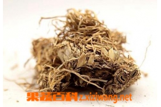 糯稻根的功效与作用