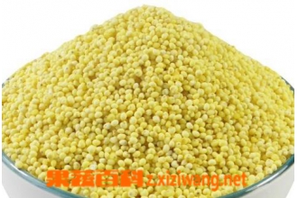 吃黍米的禁忌与注意事项