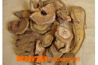 中药生大黄的功效与作用