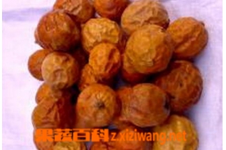 瓜萎的功效与作用 瓜萎的药用价值