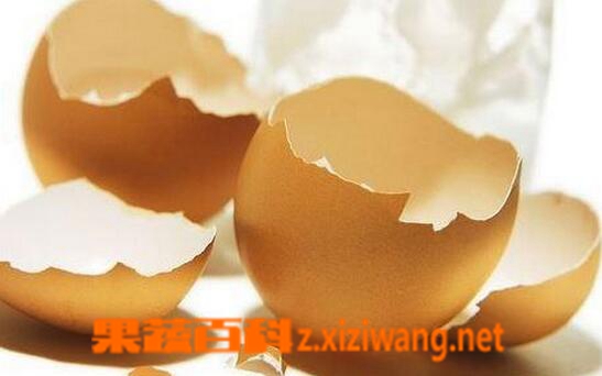 果蔬百科鸡蛋壳的用处