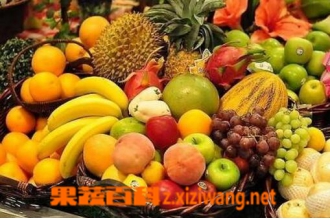 冬季减肥的好办法 冬季怎么减肥效果好