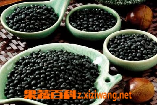 果蔬百科 防脱发的常见食疗