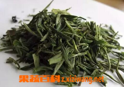 果蔬百科雁荡毛峰的泡法与功效