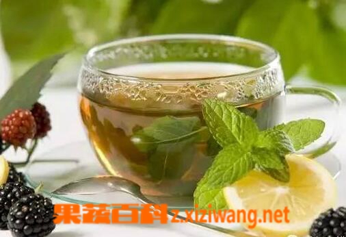 果蔬百科风热感冒吃什么