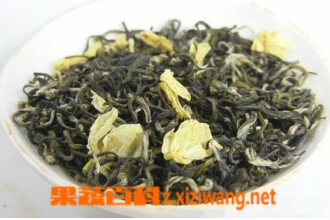茉莉花茶属于什么茶 茉莉花茶的功效与作用