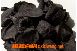 中药黑附子的功效与作用